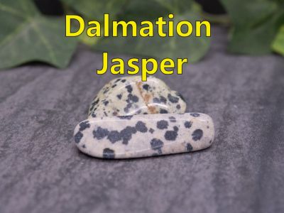 Dalmation Jasper
“Dalmatian jasper,” also known as “dalmatian stone,” is a popular decorative gemstone with a unique appearance resembling the spotted coloration of the Dalmatian dog breed.   These articular stones come from Mexico.

