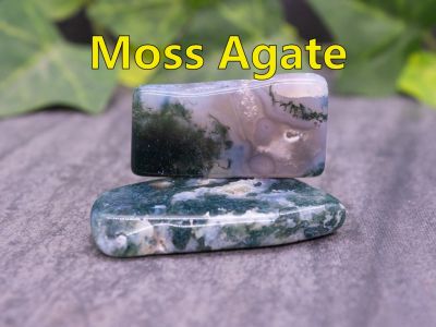 Moss Agate
Moss agate is not actually a true agate, but rather a form of Chalcedony which gets it's green "moss" features from Chrome inclusions.  This material comes from India.

