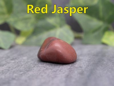 Red Jasper
Red jasper has been used as a stone of protection for thousands of years. This Jasper comes from the Chilliwack River Valley in southwest British Columbia, Canada.

