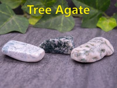 Tree Agate
It's known as Tree Agate due to having green color bands like branches of a tree.  The ancient Greeks even believed that tree agate could help with a good harvest if buried in fields.  This agate comes to you from Brazil. 

