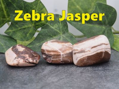 Zebra Jasper
Product of Mexico.  Needs more info
